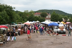 La Grande Fouille 2012 - Rougemont (72)